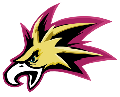 Philadelphia Eagles Anime Logo fabric transfer